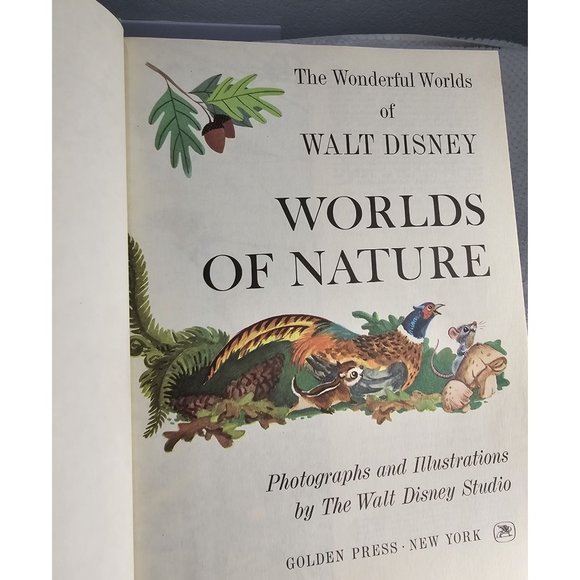 1965 Vintage Golden Press Walt Disney's World of Nature - Picture 4 of 9